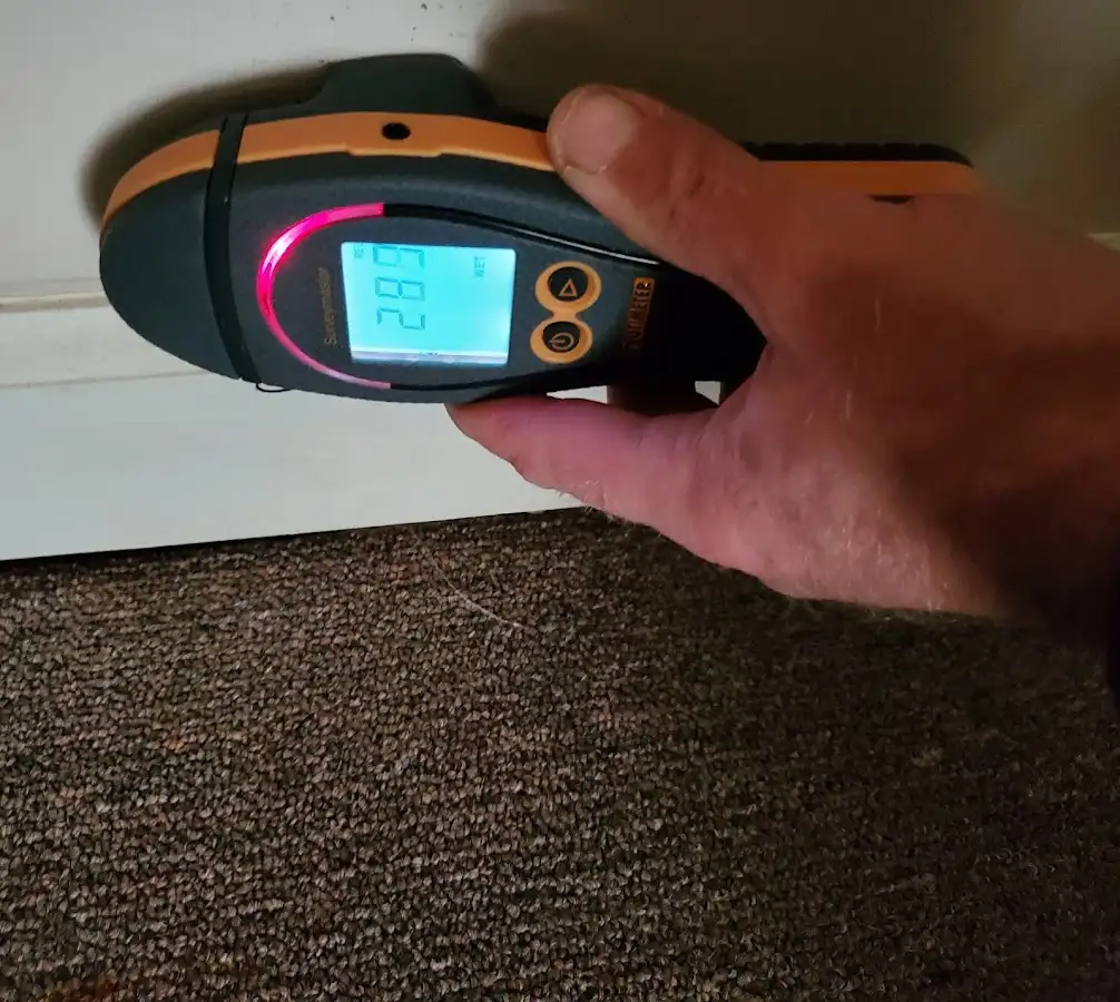 Moisture detection at baseboard during Sewage Cleanup & Sanitation in Ahuimanu